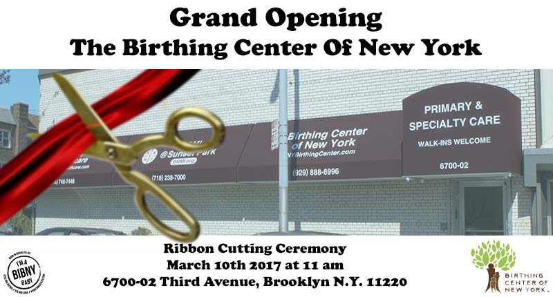 The birthing center of ny opens