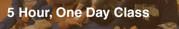 5 Hour 1 Day All Inclusive Birthing Class - Birthing Classses