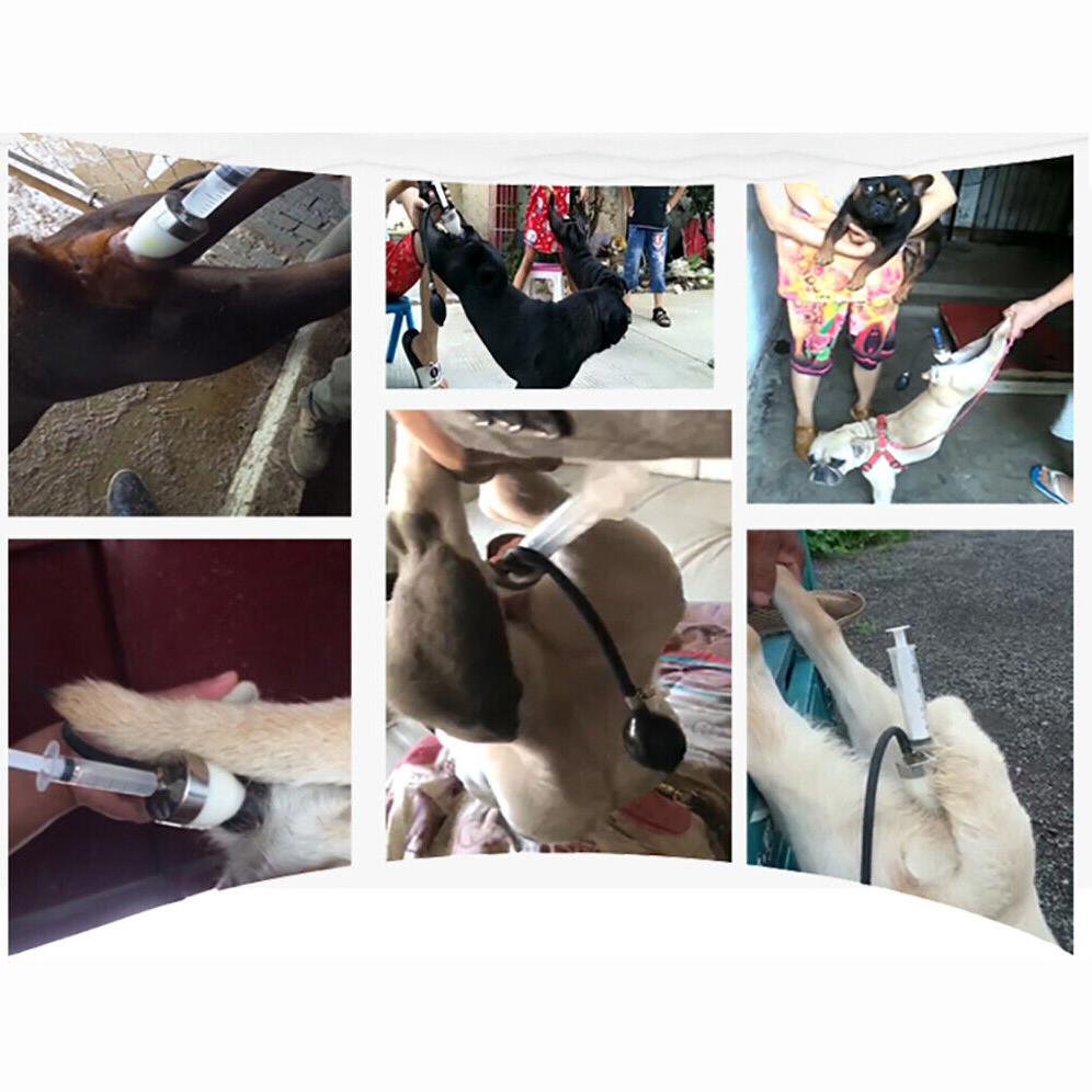 Dog Artificial Insemination Kit New Professional Imitation Nature Mating Tool US