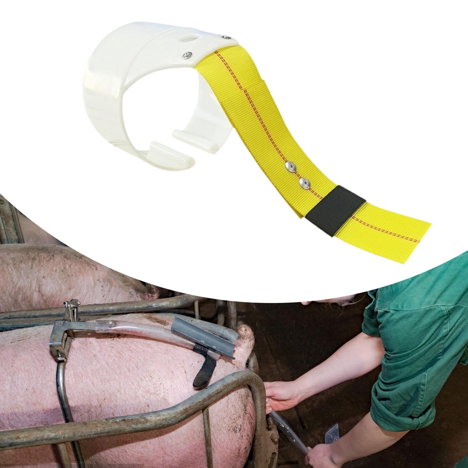 Pig Insemination Back Clamp Breeding Saddle Pig Breeding Supplies Support
