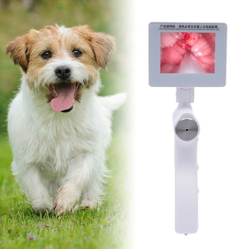 3.5 Inch Artificial Camera Screen Visual Dog Insemination Gun 360° Rotation 5MP