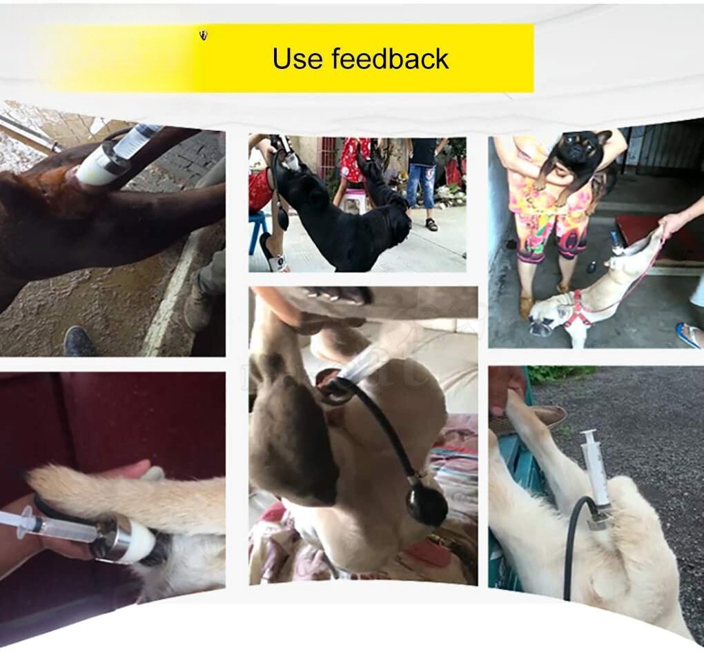 Dog Artificial Insemination Kit Professional Imitation Nature Mating Veterinary