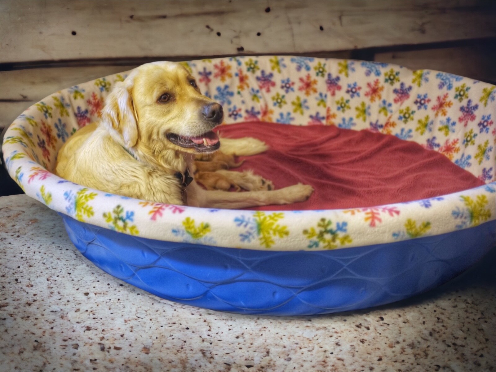 FREE USA Ship MEDIUM PupNest Handmade Fleece Whelping Pool Liner for Puppy Breed