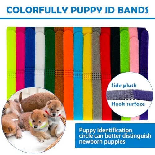 Whelping Kit for Puppies & Kittens – 77-Piece Birthing Essentials & Feeding Supp