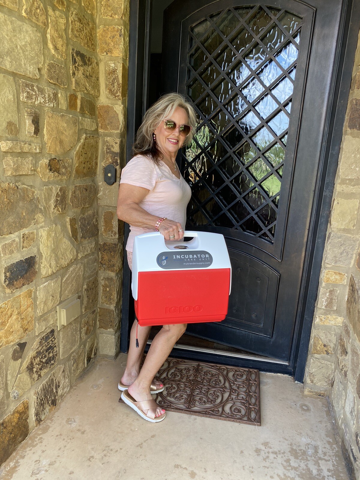 Safest & Only true Portable Pet Incubator available 12/110/220 Puppy Live Saver