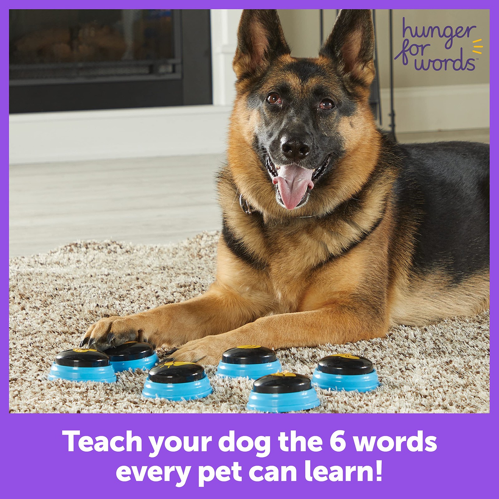 Hunger For Words Talking Pet Essential – 6 6 Count (Pack of 1), Multi