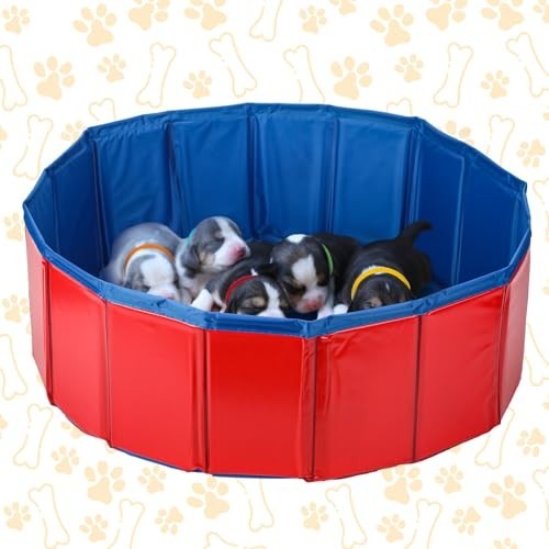 Puppy Kitten Whelping Kit 57 Pieces 24 Inch Birthing Box Feeding Tubes Collars