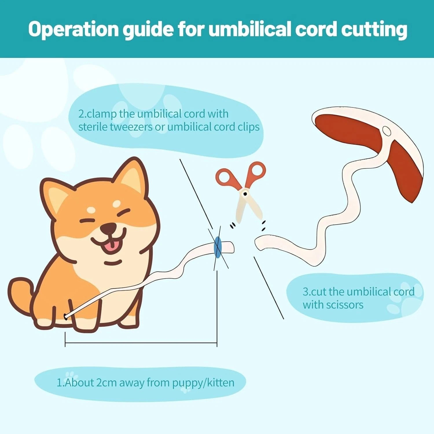 48-Piece Veterinary Approved Puppy Whelping Kit with Feeding and Care Essentials