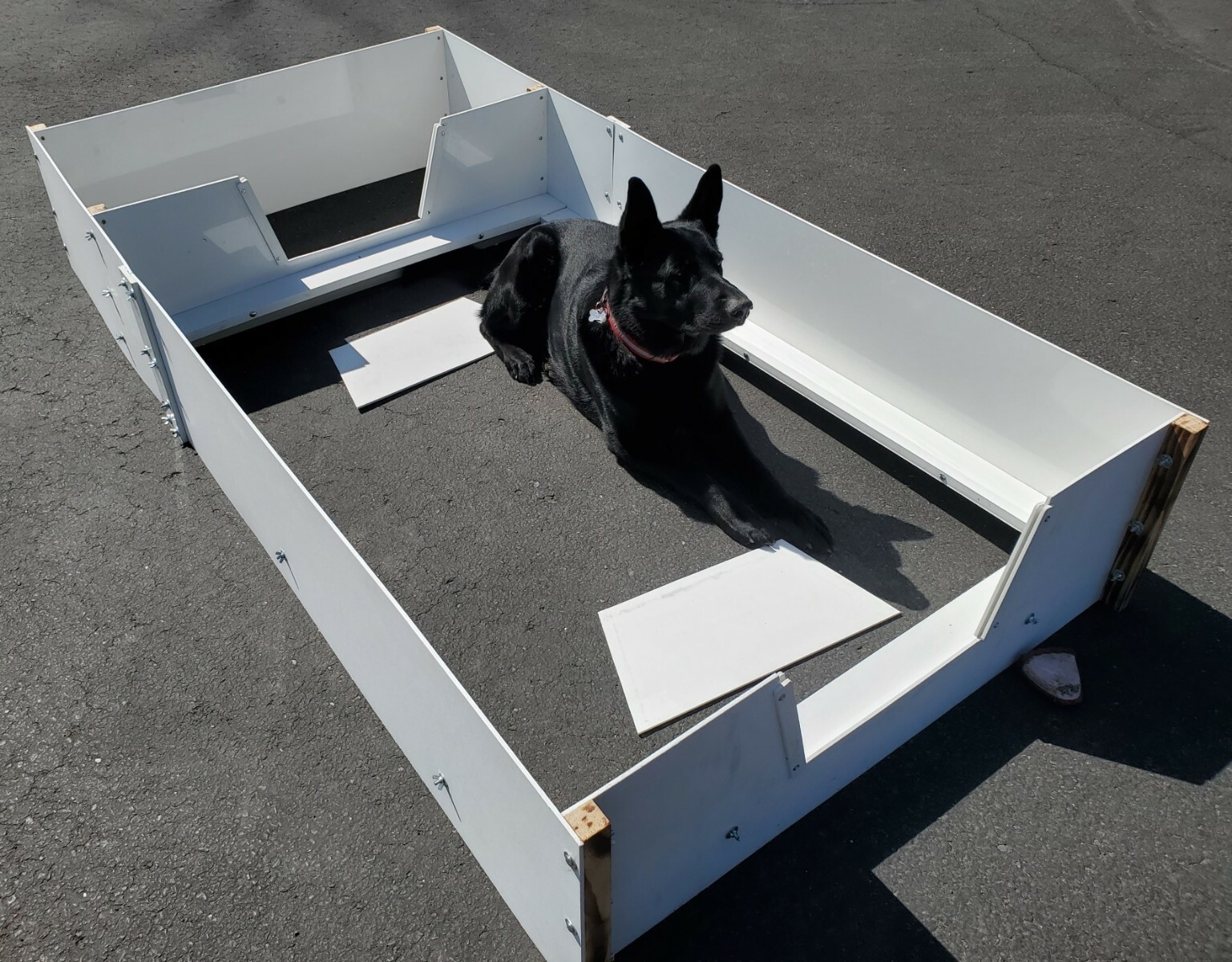 Medium Whelping Box w/safety pig rails, liner & potty area 42×56 FREE S & H