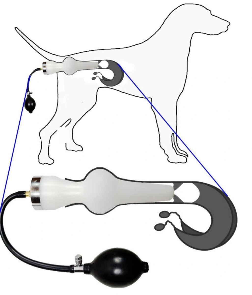 Canine Inflatable Artificial Insemination Kit (50-77lbs)