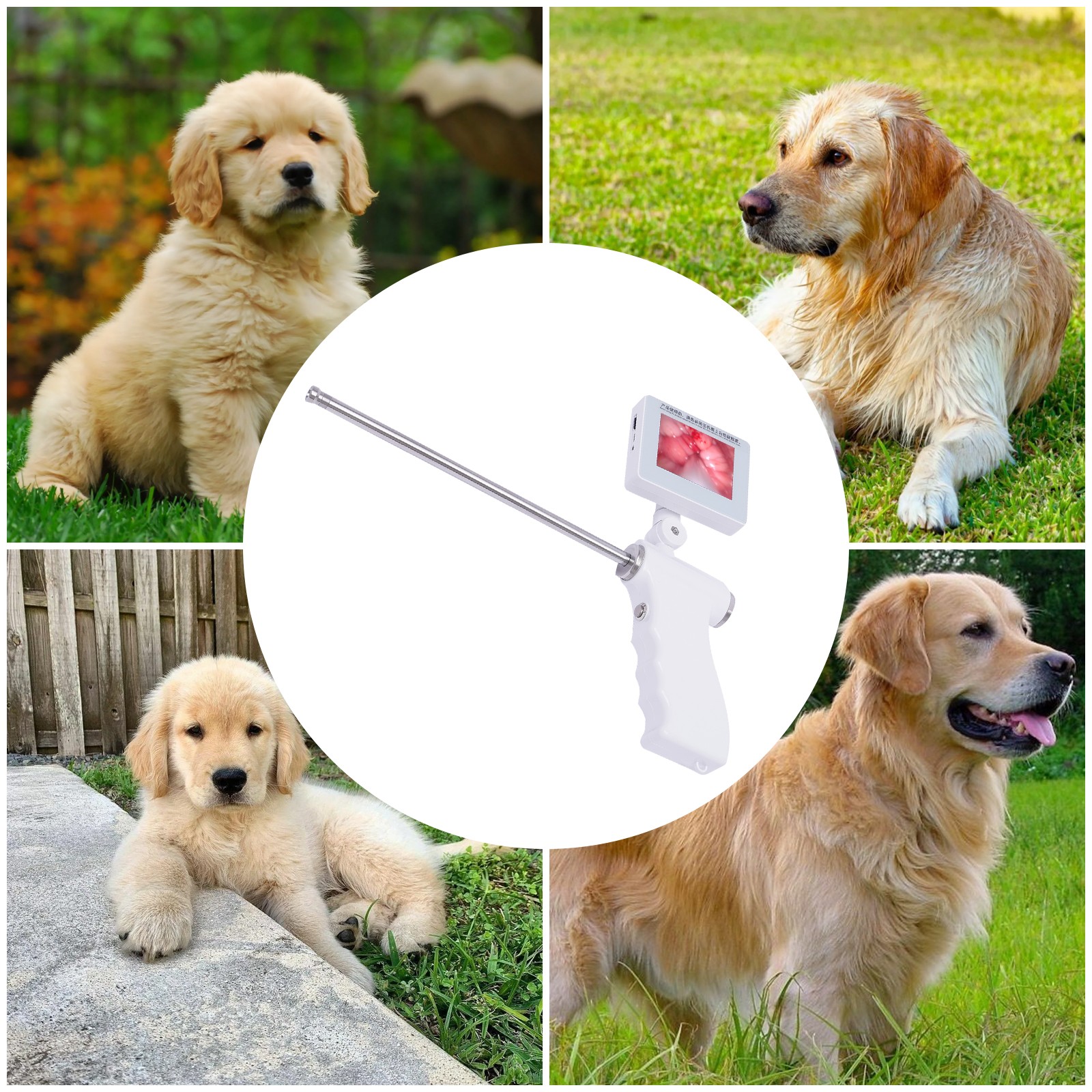 3.5 Inch Artificial Camera Screen Insemination Visual Dog Gun 360° Rotation 5MP