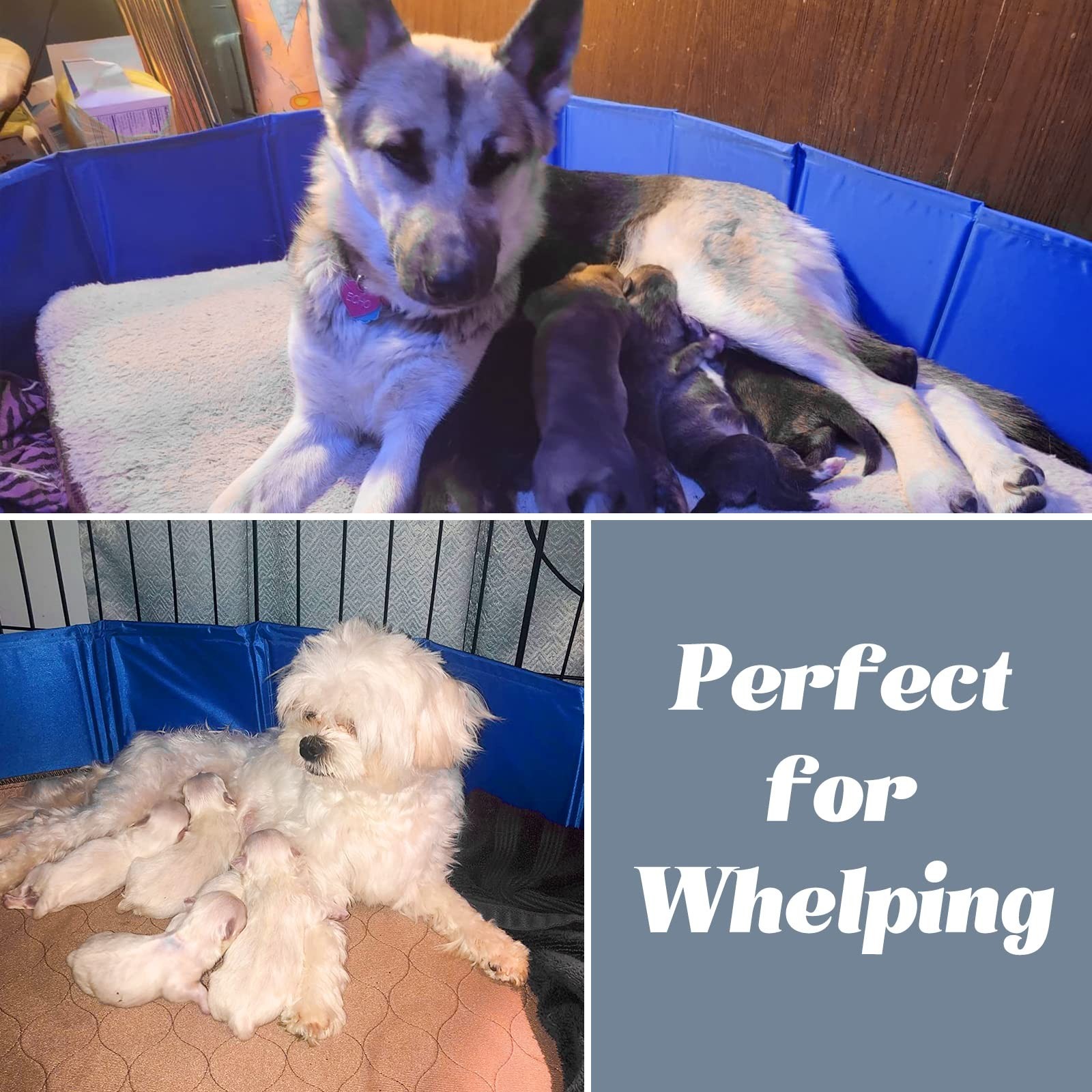 Whelping Box for Dogs & Puppies, Easy Clean Whelping Pool & Pen, 39″ Dia x 12″ H