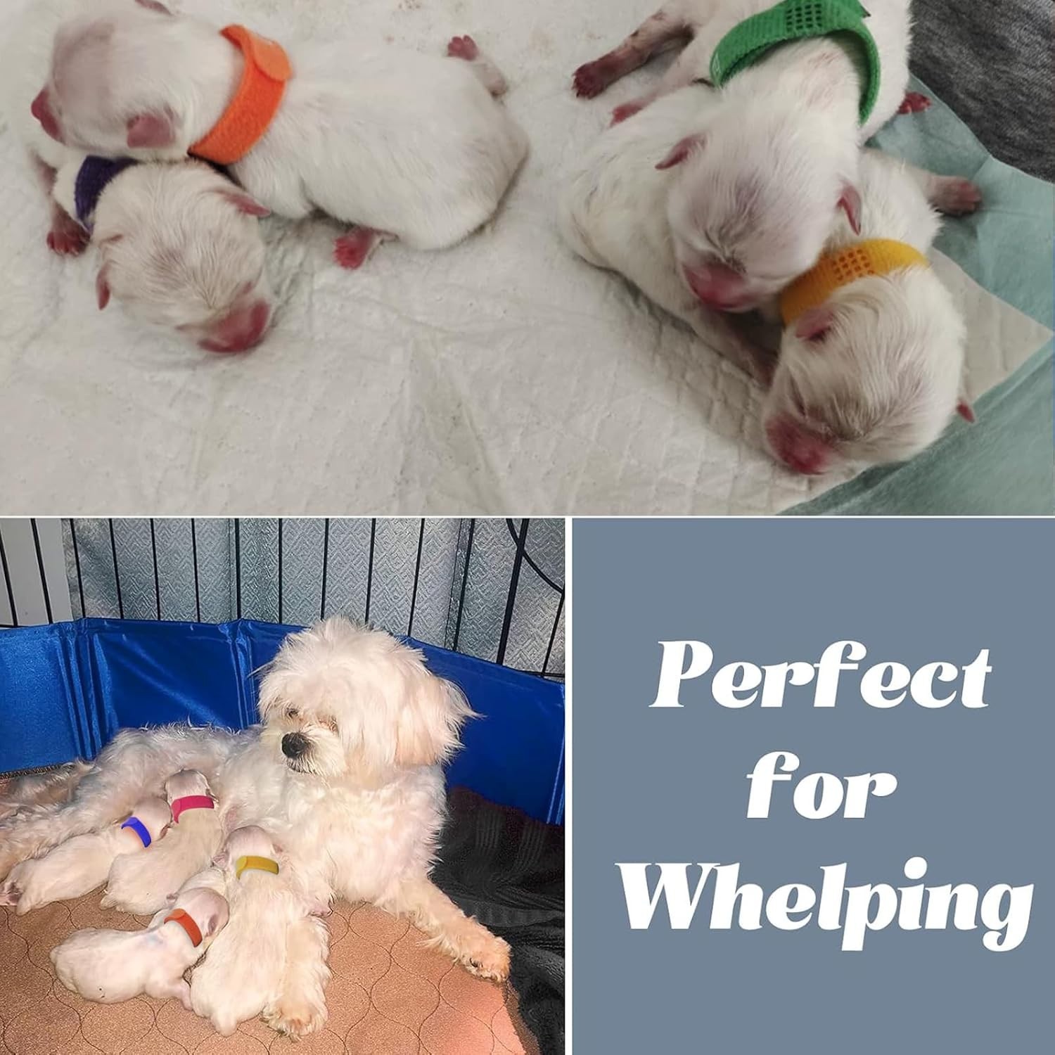 Grey 63″ Diameter Dog Whelping Box for Puppies – Heavy-Duty PVC Whelping Pen