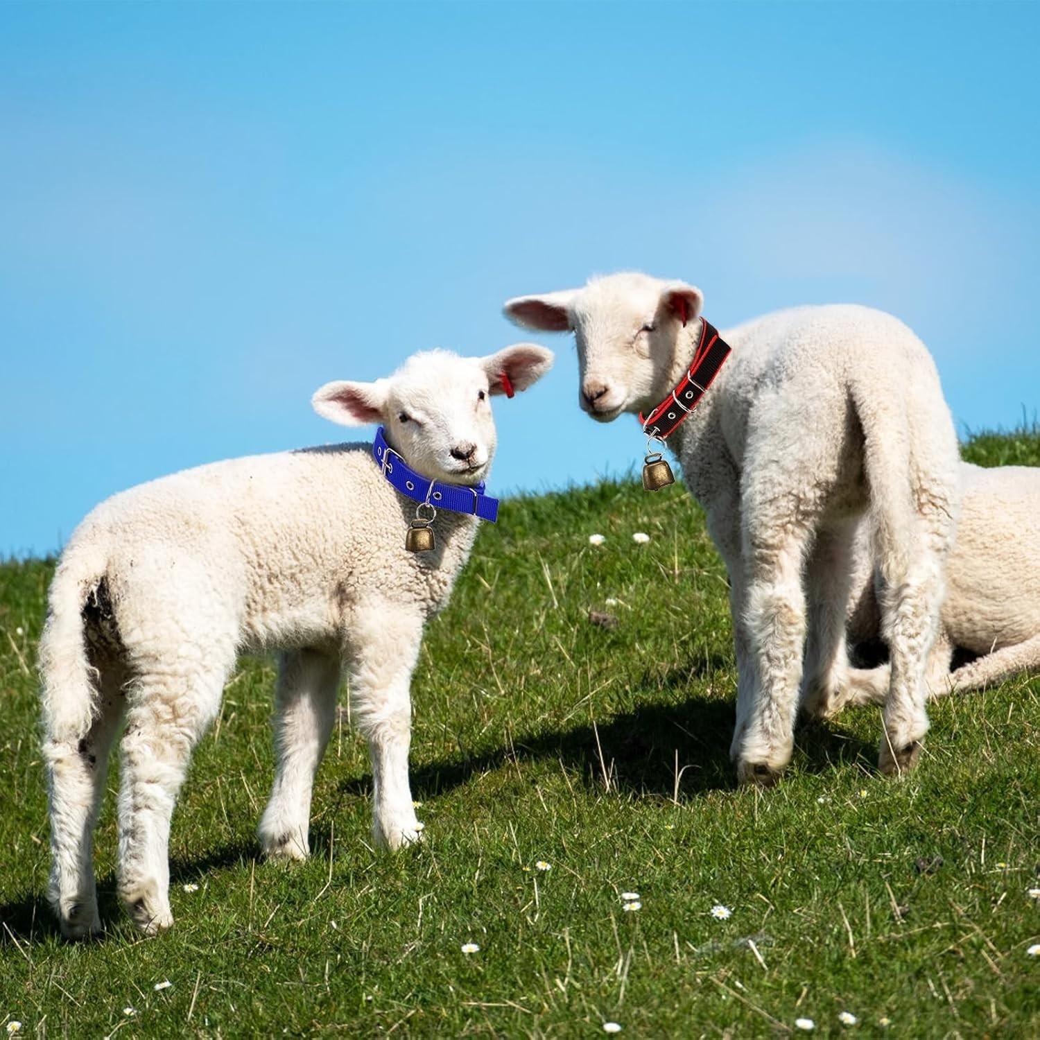 12 Pack Goat Collars with Bells, Adjustable Nylon Sheep Collar with Anti-Lost…