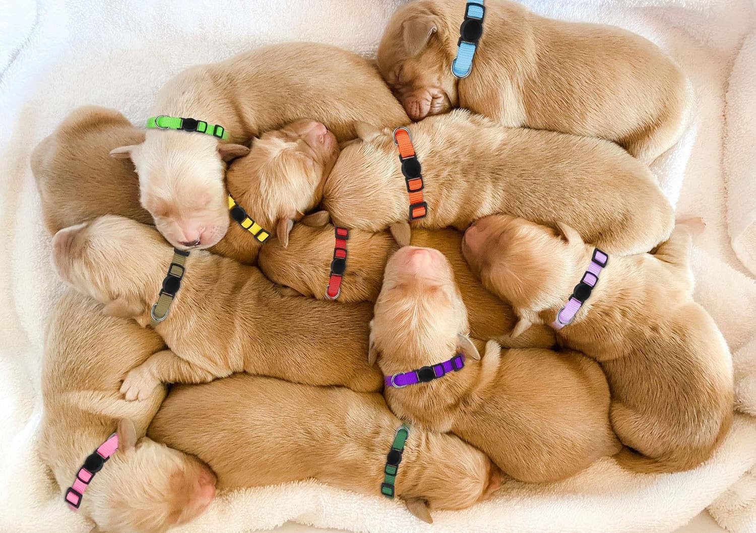 12 Pcs/Set Soft Nylon Puppy ID Collar Adjustable Whelping Breakaway Litter New