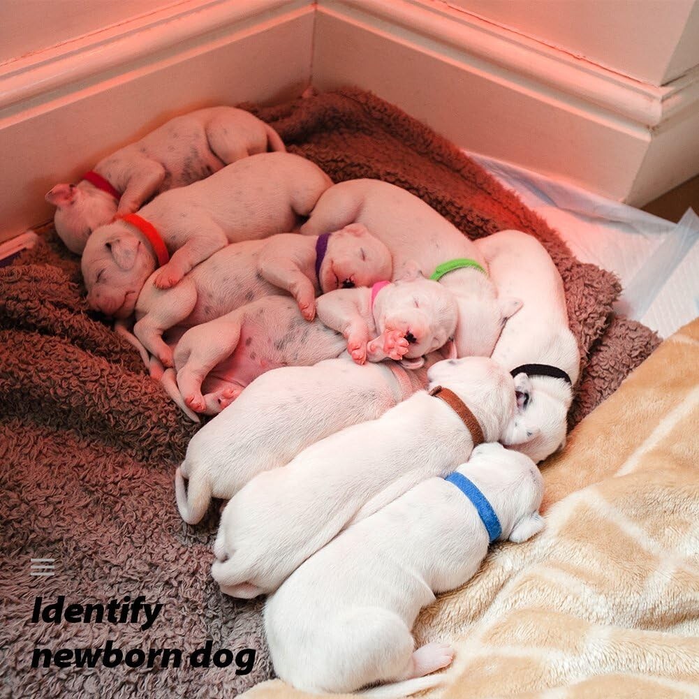 Adjustable Puppy Whelping Collars – 30 Soft ID Bands for Puppies and Kittens