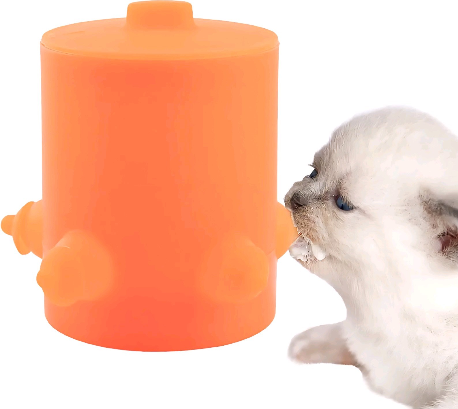5 Nipple Puppy Kitten Nursing Milk Feeding Station Bowl Soft Silicone 600ml