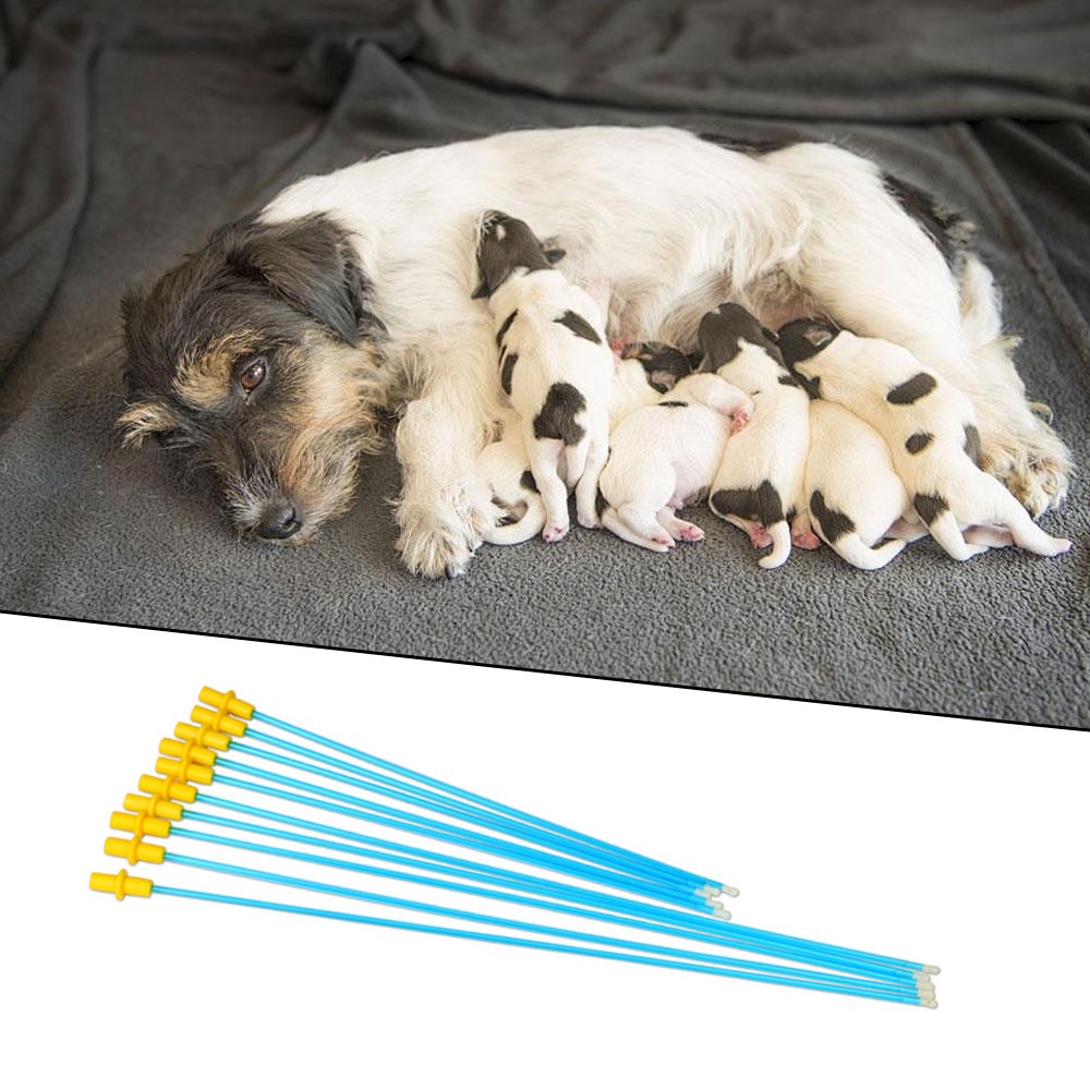 20Pcs Pet Dog Disposable Artificial Insemination Catheters Rods Breeding Tubes +