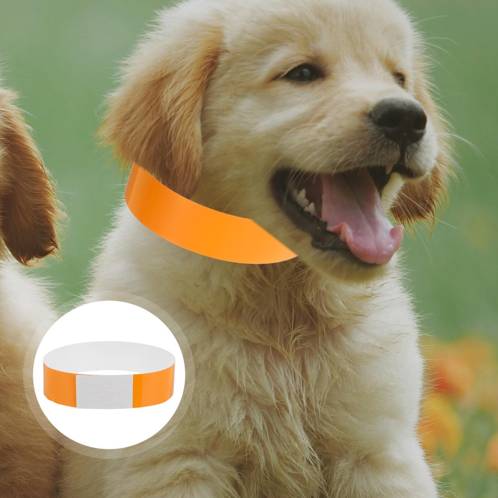 100 PCS Pet Tag Collars Identification Dog Tags for Small Dogs with