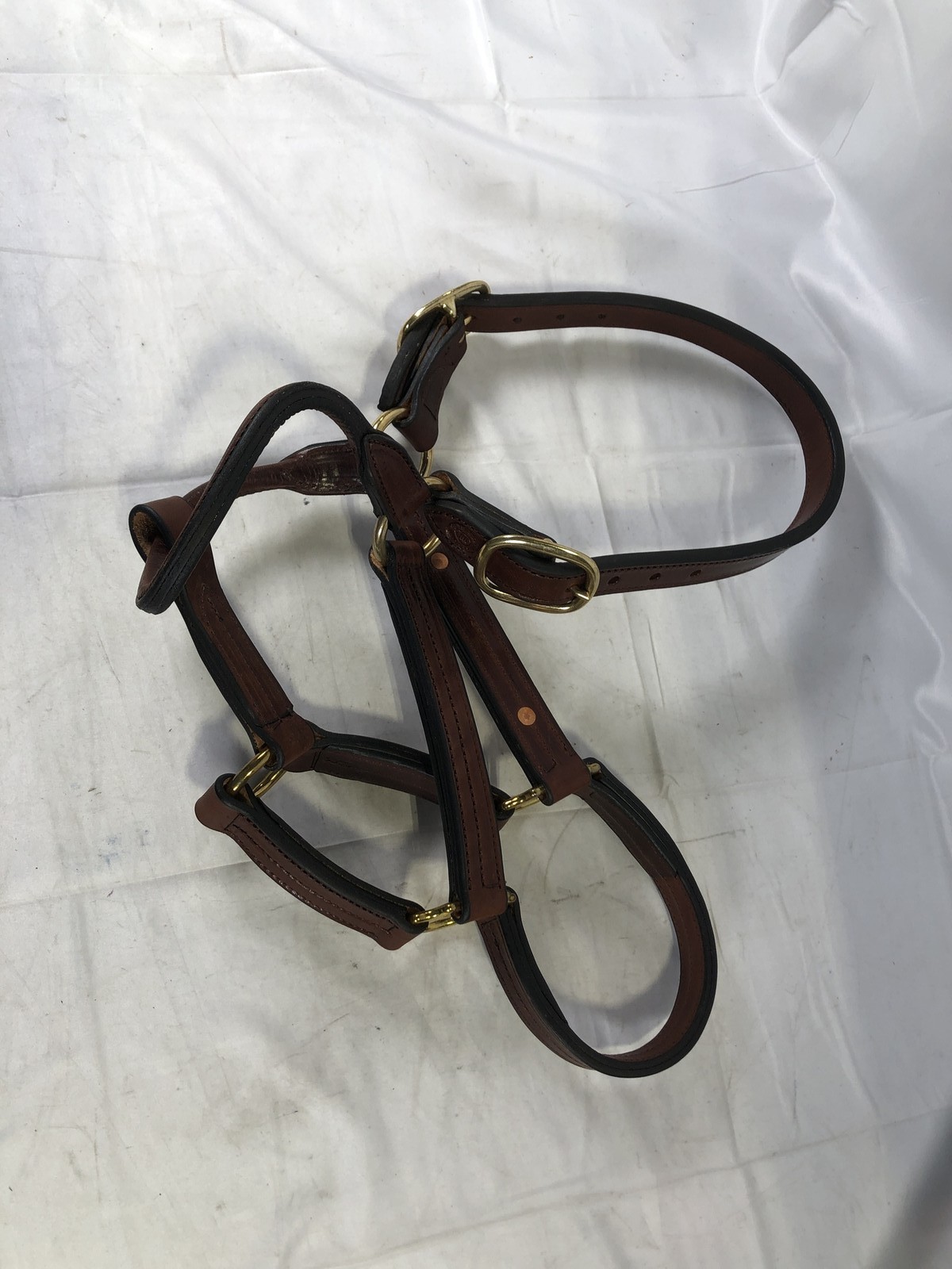 Leaders 3/4″ Leather Halter for Horses Hardware Ruby Red Pep Engraved
