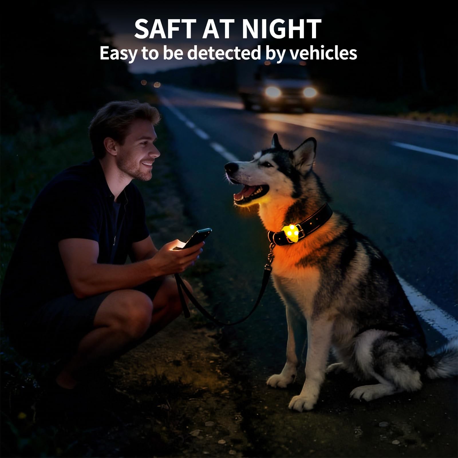 LaRoo Dog Lights for Night Walking, LED Dogs Collar Orange-A