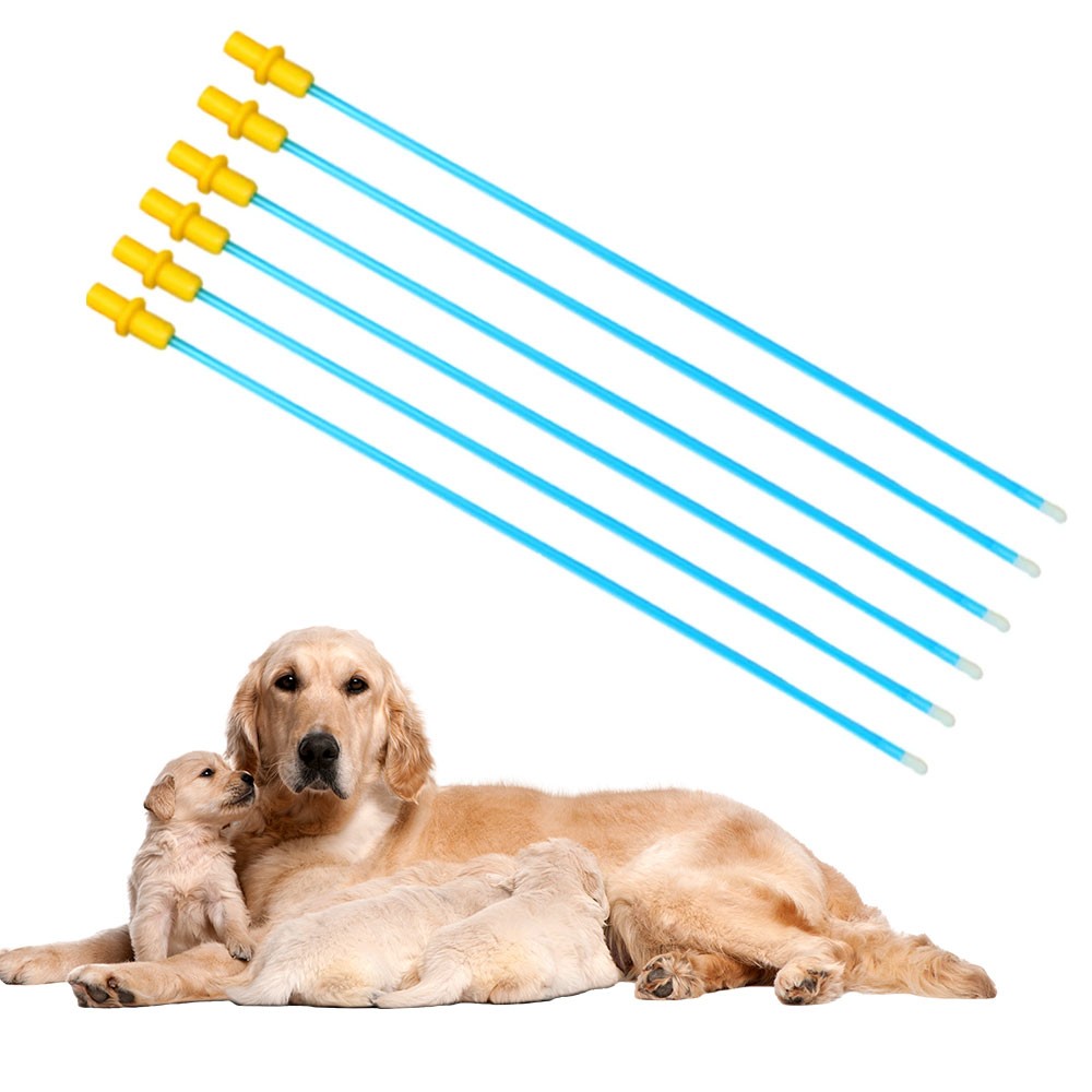 20Pcs Pet Dog Disposable Artificial Insemination Catheters Rods Breeding Tubes +