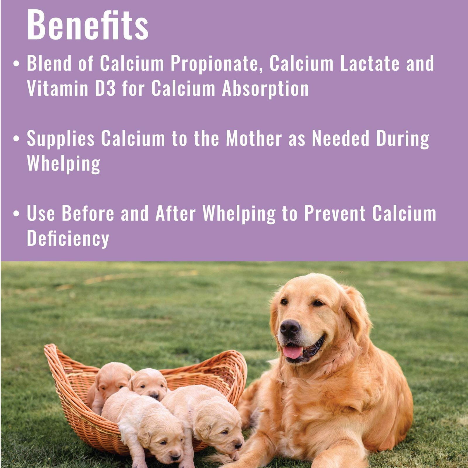 Dogzymes Canine Whelping Calcium Paste