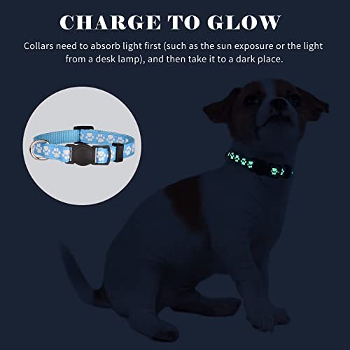 14 PCPuppy Collars for Litter Puppy ID Collars Glow in The Dark S