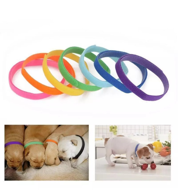 12Pcs Dog’s Collars For Newborn Adjustable Identification Collar Reusable