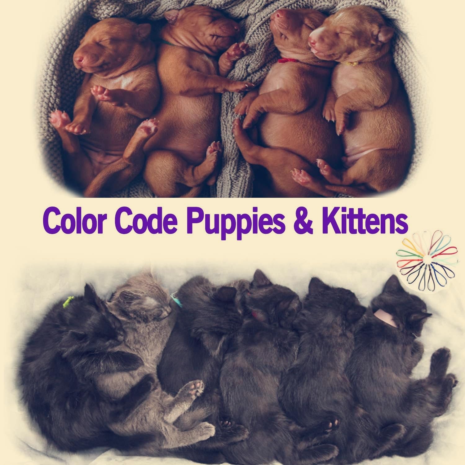Stretchy Whelping Collars for Small to Medium Puppies and All Breed Kittens, …