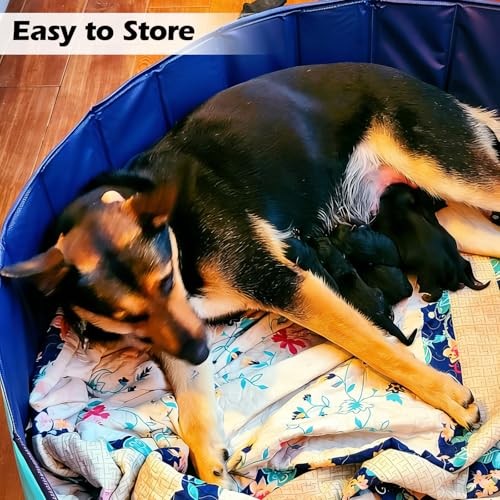Whelping Box for Dogs Welp Box Diameter: 47 inches x Height: 12 inches Blue