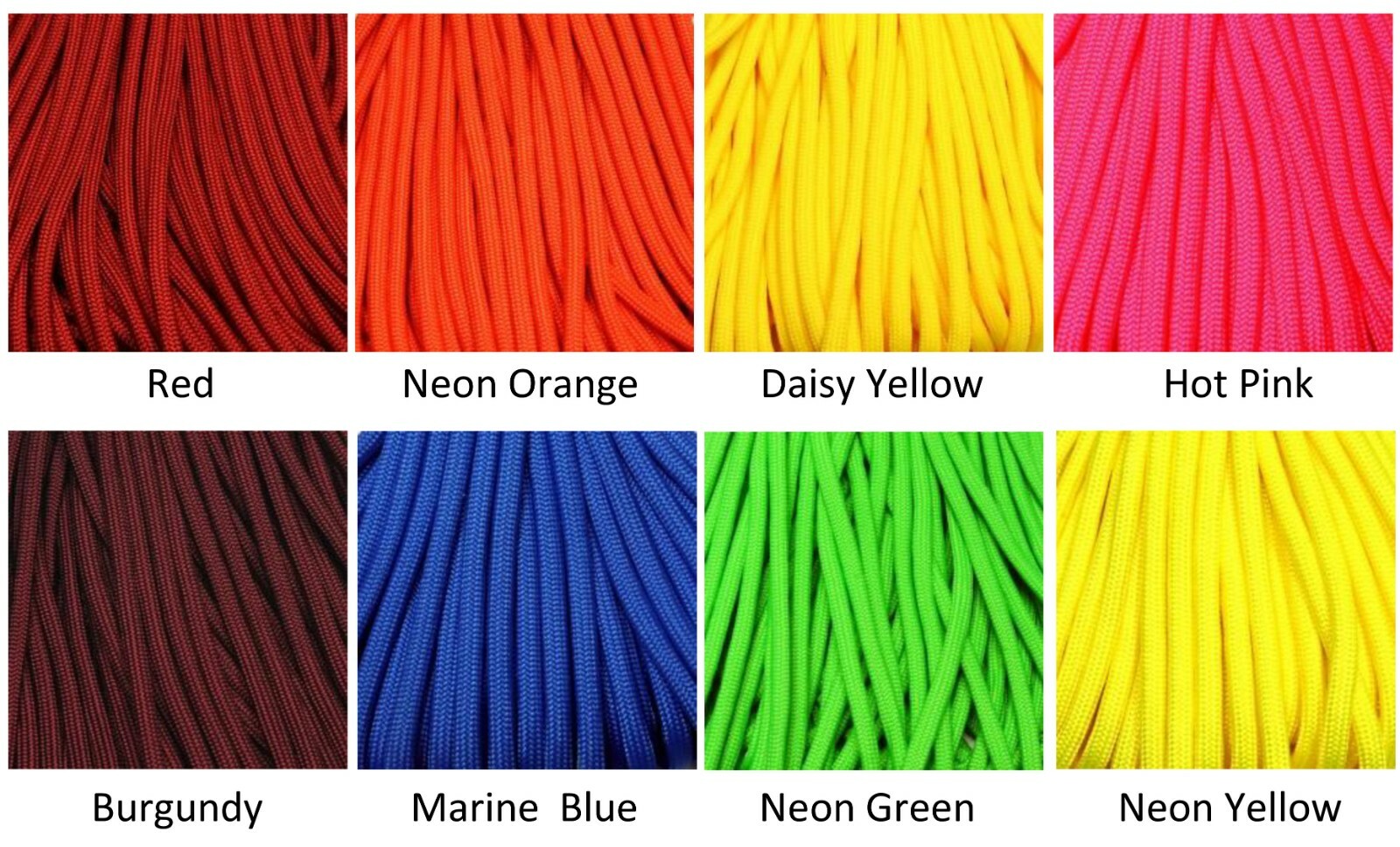Puppy Litter Whelping Collars Newborn ID for Puppies or Kittens