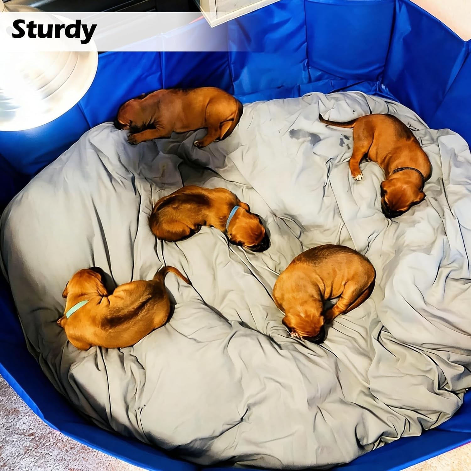 Grey 63″ Diameter Dog Whelping Box for Puppies – Heavy-Duty PVC Whelping Pen