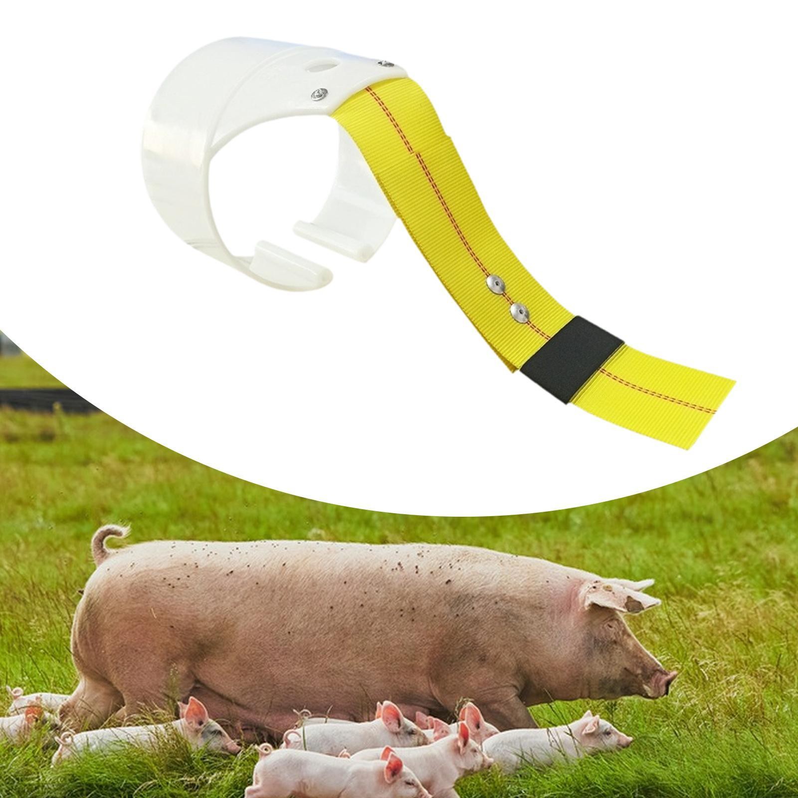 Pig Insemination Back Clamp Breeding Saddle Pig Breeding Supplies Support