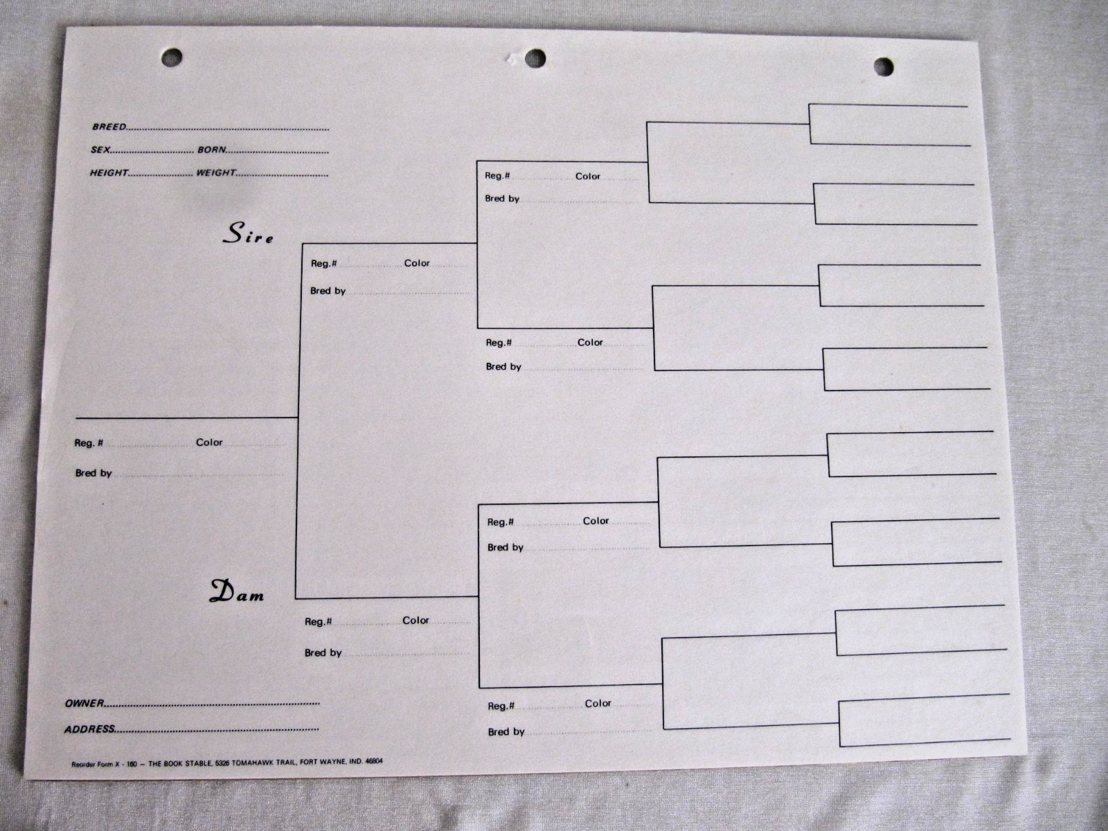 Lot of Generation Pedigree Forms Certificate Puppy Horse Cow Breeder
