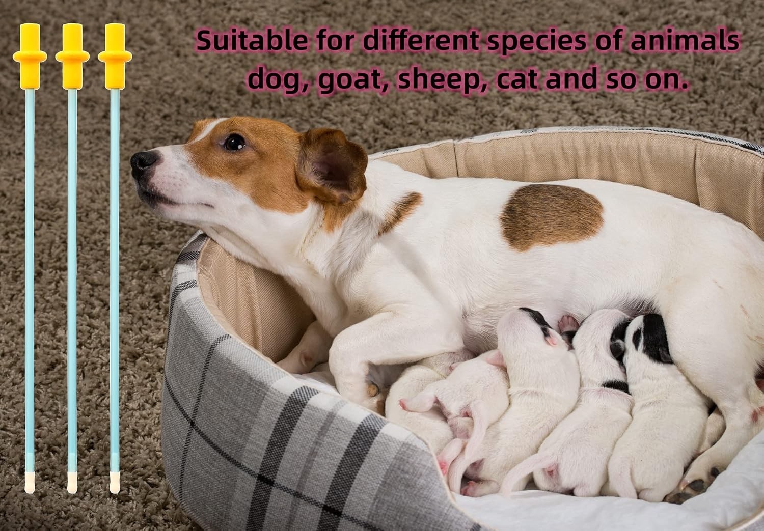 Dog Artificial Insemination Kit Canine Breeding Supplies for Medium Breeds