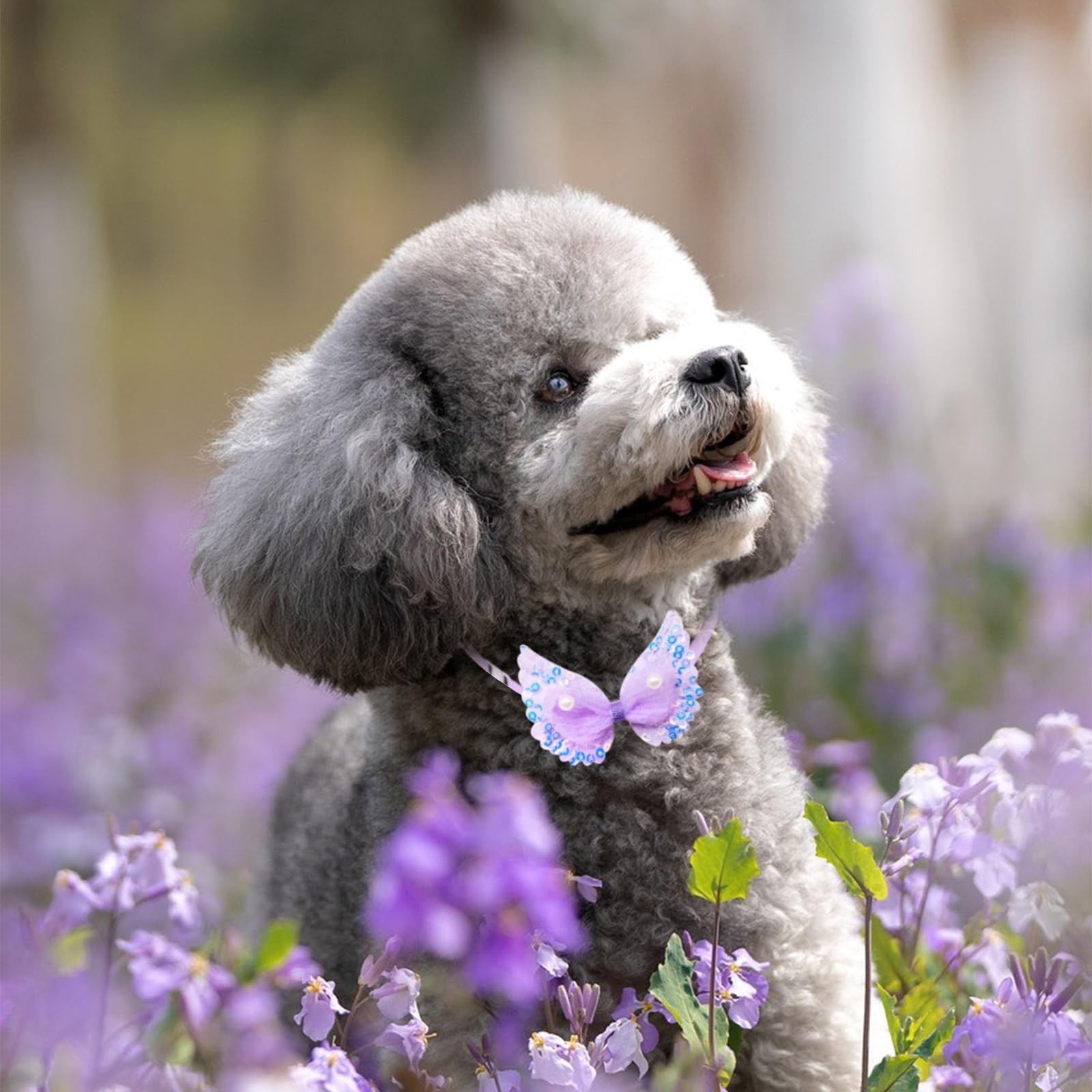 20Pcs Lace Pearl Dog Collars, Adjustable Butterfly Bowtie Pet Collars for Sma…