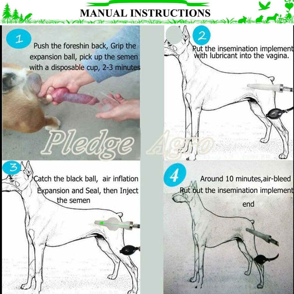 Large Dog Artificial Imitation Natural Mating Insemination Syringe Infusion Tool