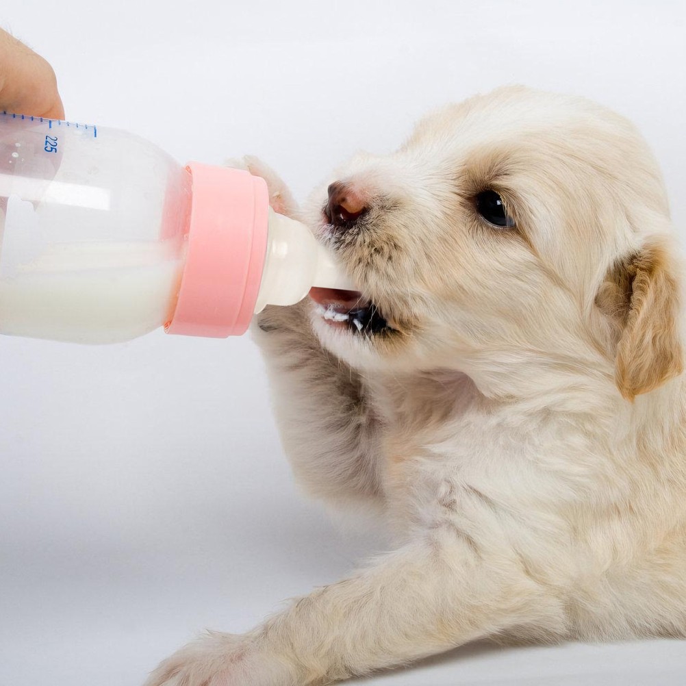 40Pcs Silicone Pet Nurser Nipples Reusable Feeding Pacifiers for Small Pets