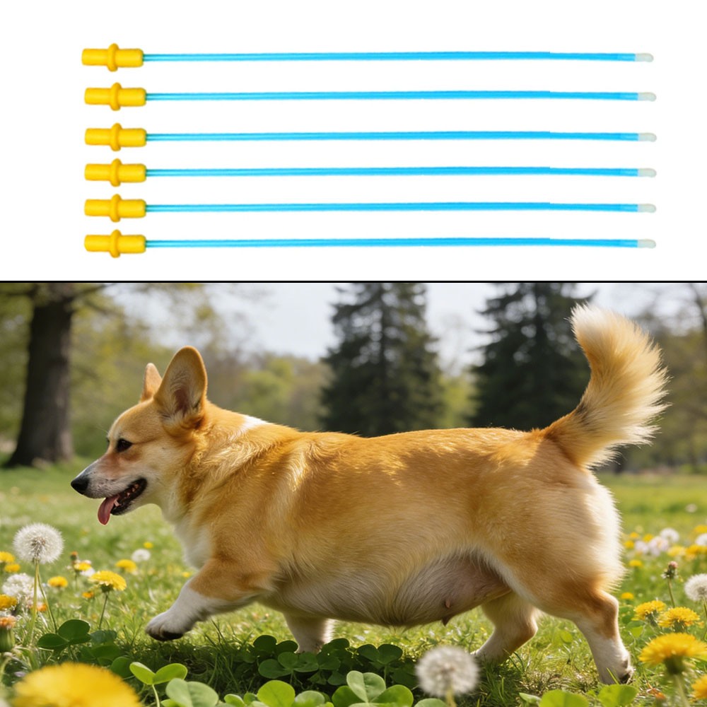 20 Pcs Pet Dog Disposable Artificial Insemination Catheters Rods Breeding Tube