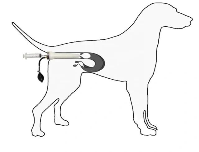 Canine Inflatable Artificial Insemination Kit (50-77lbs)