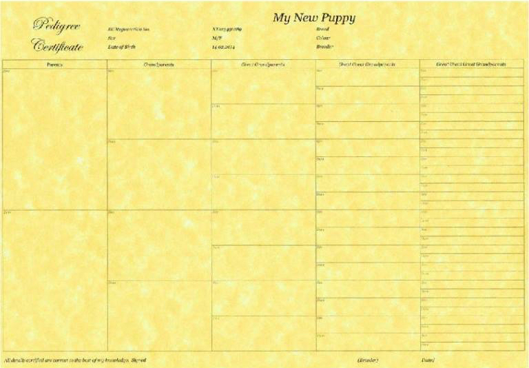 12 – 5 Generation Pedigree Forms Quality Certificates Puppy Breeder & ID Collars
