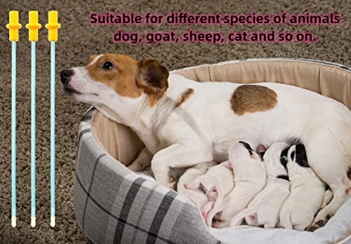 10 Set Dog Breeding Kit – AI Artificial Insemination Supplies for Small Breeds