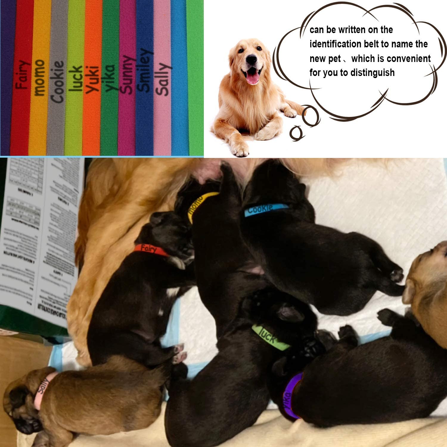 Newborn Puppy Litter Whelping Collars Puppies Supplies Identification Dog Cat ID