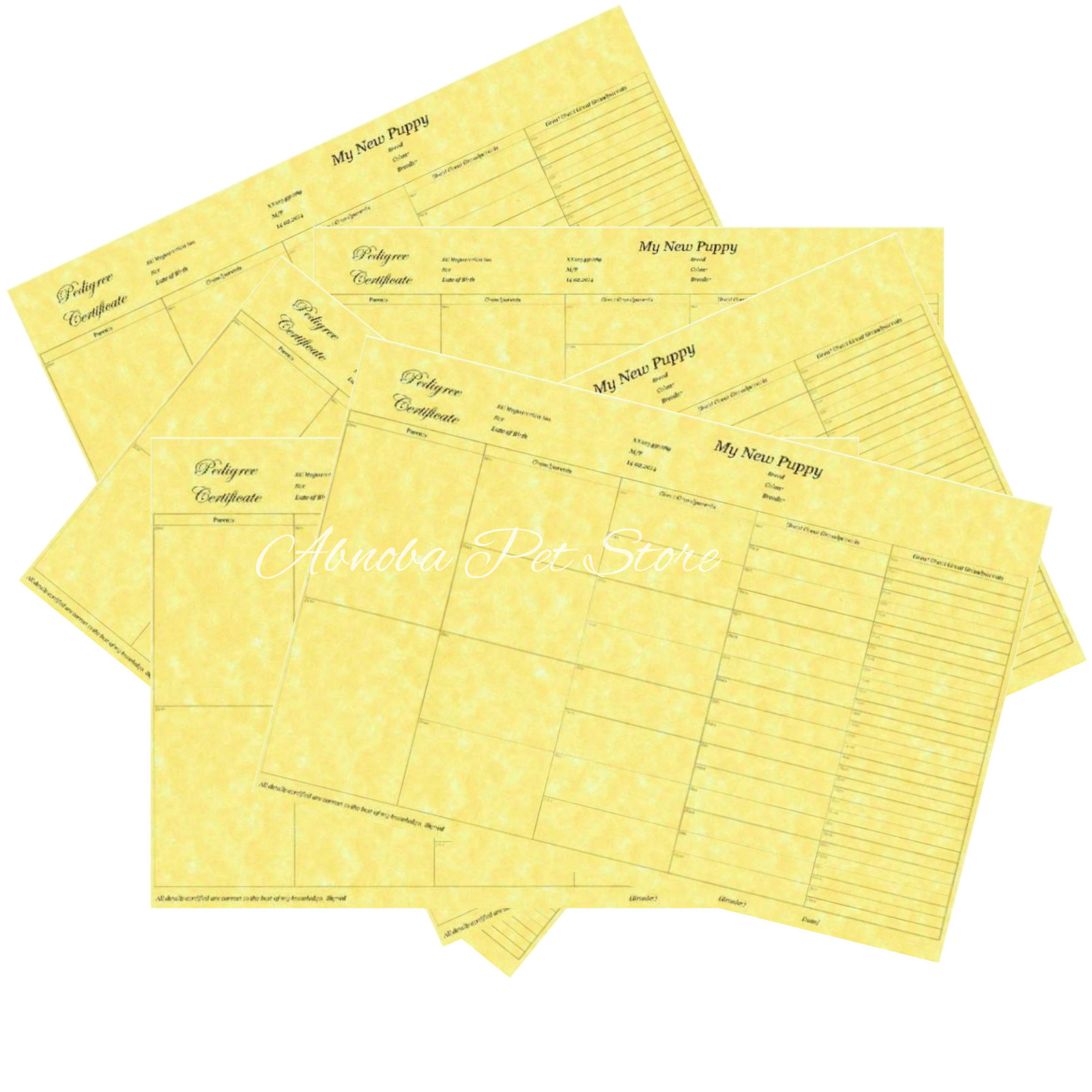 12 – 5 Generation Pedigree Forms Quality Certificates Puppy Breeder & ID Collars