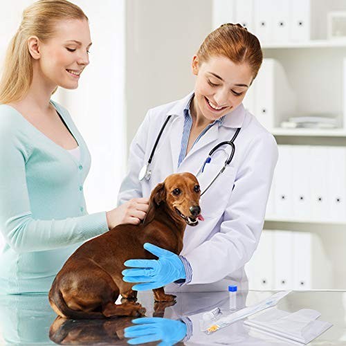 10 Set Dog Breeding Kit – Artificial Insemination Supplies for Small & Medium Br