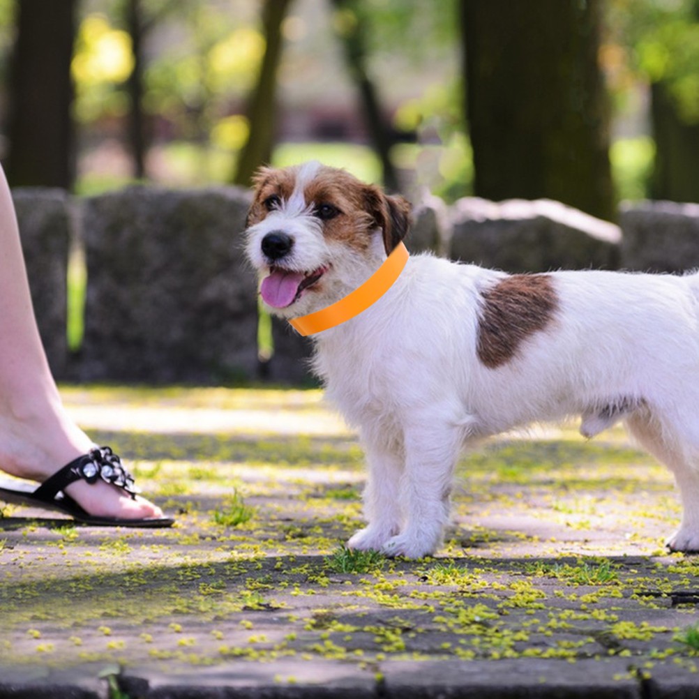 100 PCS Puppy Identification Collars Newborn Dog with for Small Dogs