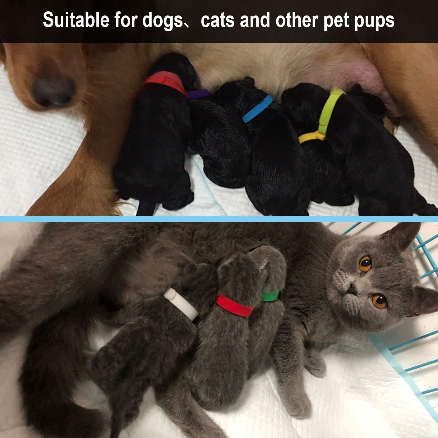 15 Pcs Puppy Whelping Collars Newborn Pet 15 -15 Colors