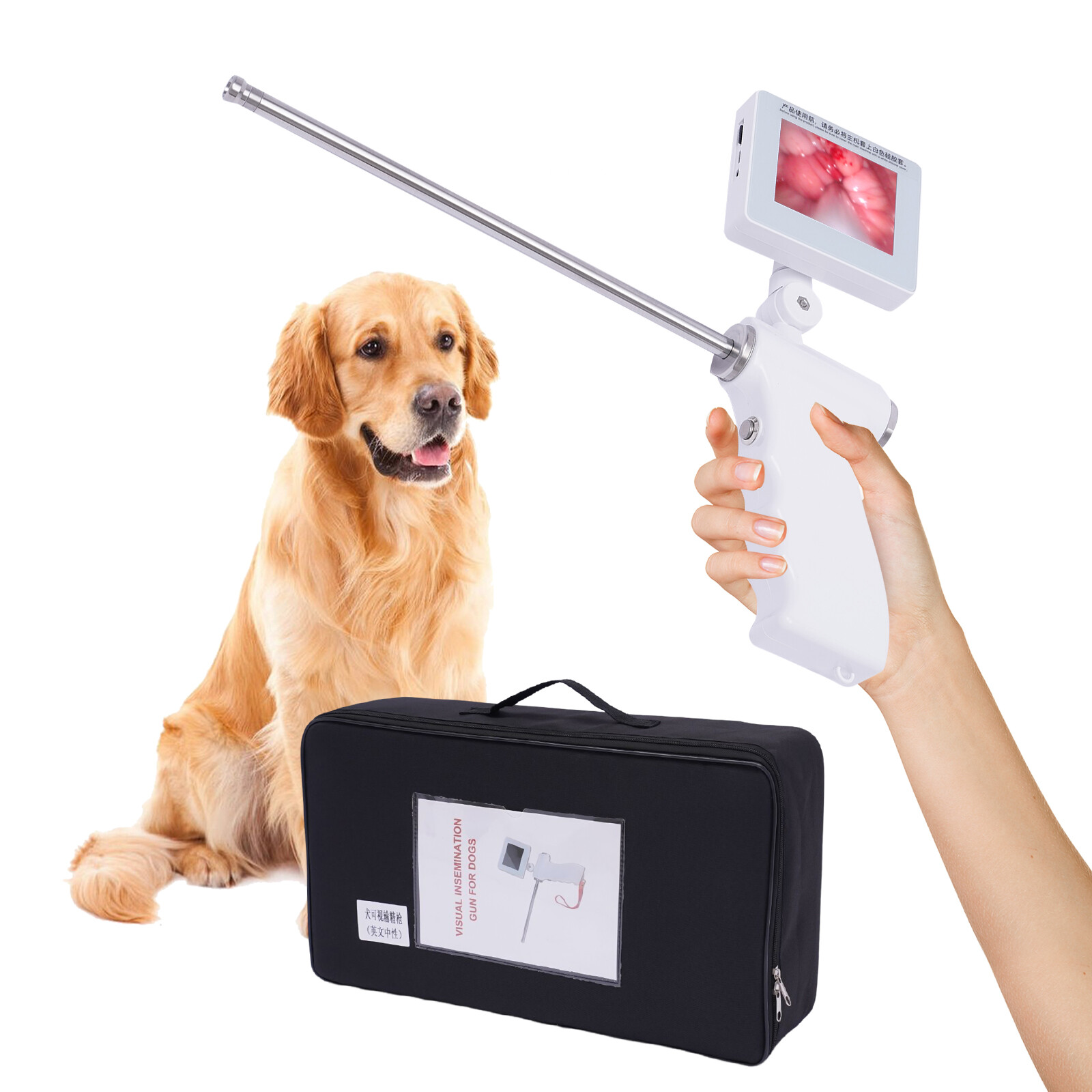 Visual Dog Artificial Insemination Gun Kit 3.5in Display 304 Steel