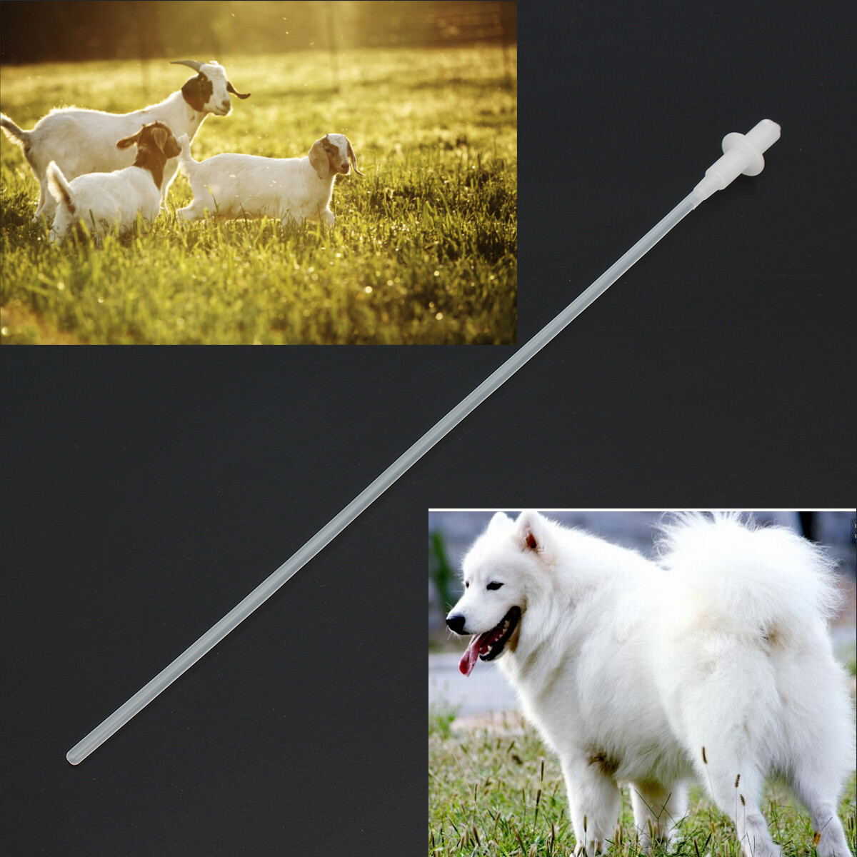 50/100pcs Canine Dog Goat Sheep Artificial Insemination Breed Whelp Catheter Rod